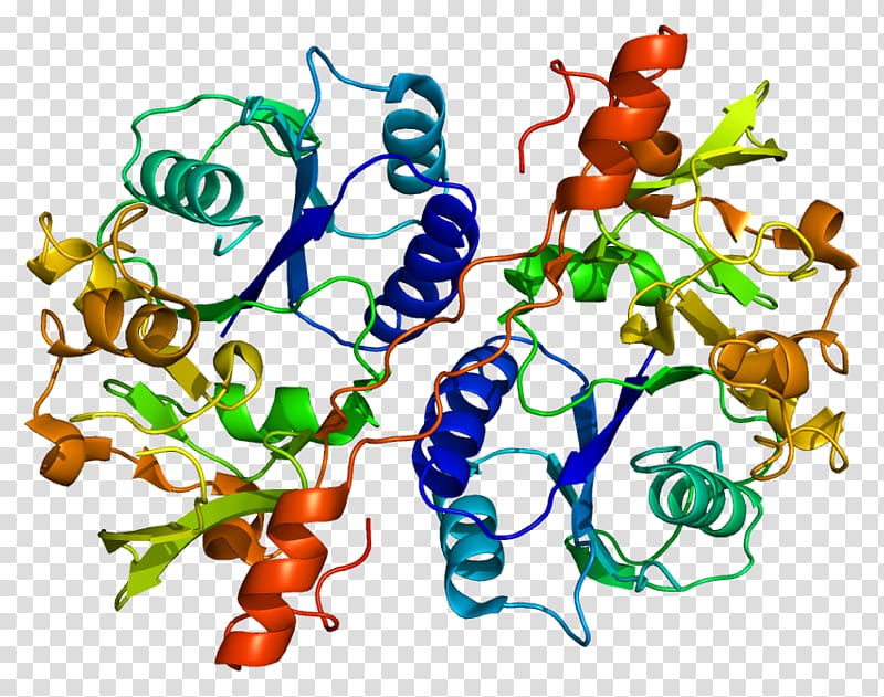 Glucuronosyltransferase B3GAT3 Protein Gene Enzyme, platelets transparent background PNG clipart