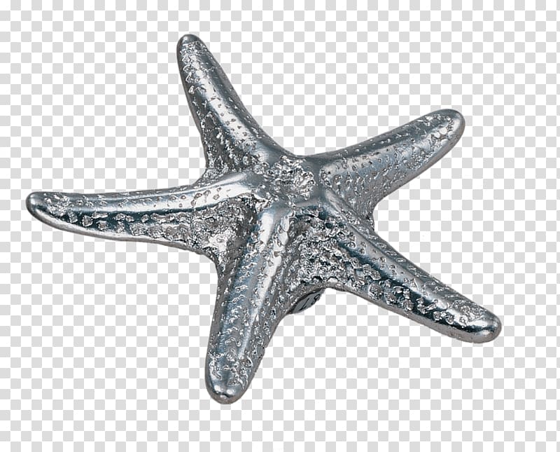 Drawer pull Cabinetry Door handle Kitchen cabinet, colored starfish transparent background PNG clipart