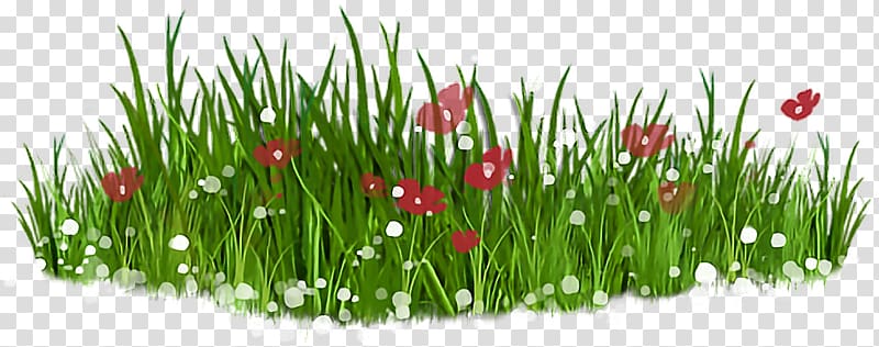 Open Lawn Free content, grass hd transparent background PNG clipart