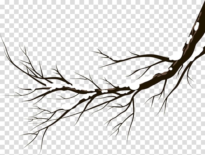 Bird Winter , Snow branch transparent background PNG clipart