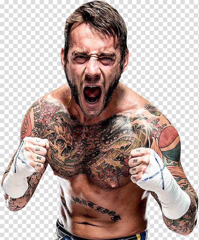 CM Punk Ultimate Fighting Championship WWE Championship Money in the Bank ladder match, cm punk transparent background PNG clipart