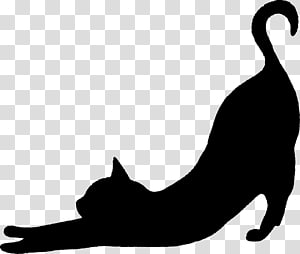 Whiskers Meme Sticker Aegean cat, meme, face, cat Like Mammal