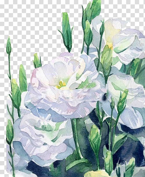 white petaled flowers painting, White Flower Computer file, White flowers transparent background PNG clipart