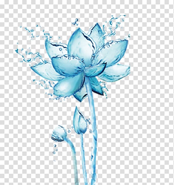 blue water lotus transparent background PNG clipart