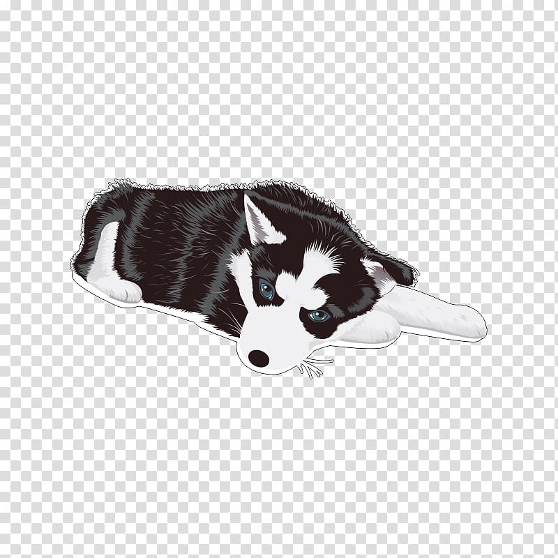 Siberian Husky Puppy, puppy transparent background PNG clipart