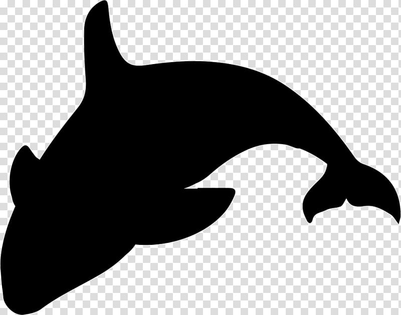 Killer whale Silhouette , whale transparent background PNG clipart