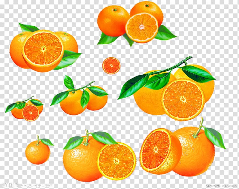 Mandarin orange Fruit Bergamot orange, Orange cartoon transparent background PNG clipart