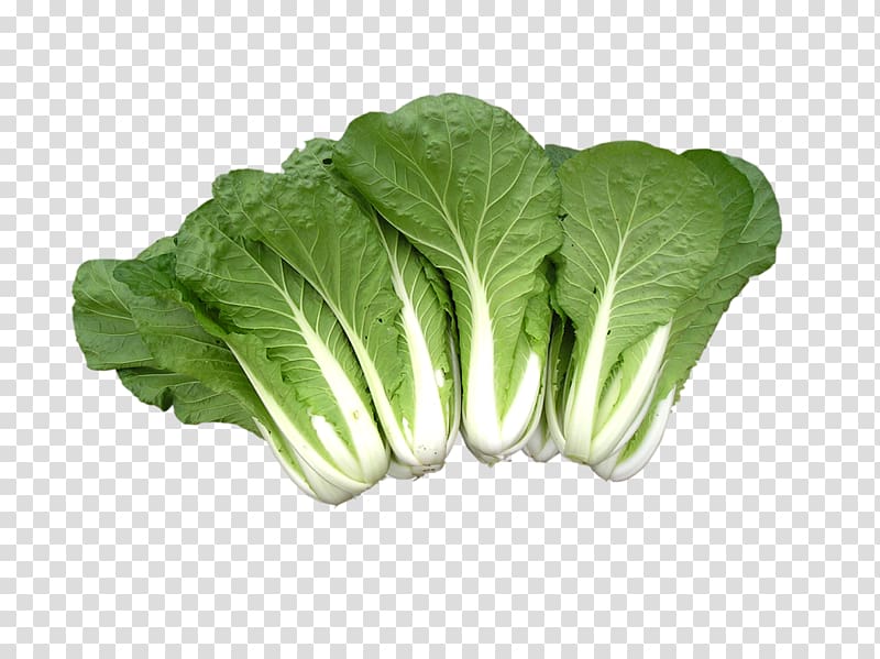 Cabbage Vegetable Fruit, Fresh cabbage transparent background PNG clipart