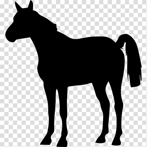 Horse Drawing , horse transparent background PNG clipart