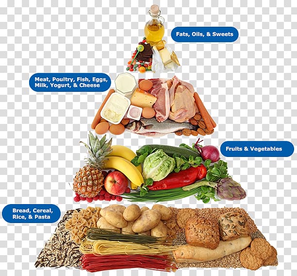 Carbohydrate Eating Diet Food pyramid, health transparent background PNG clipart