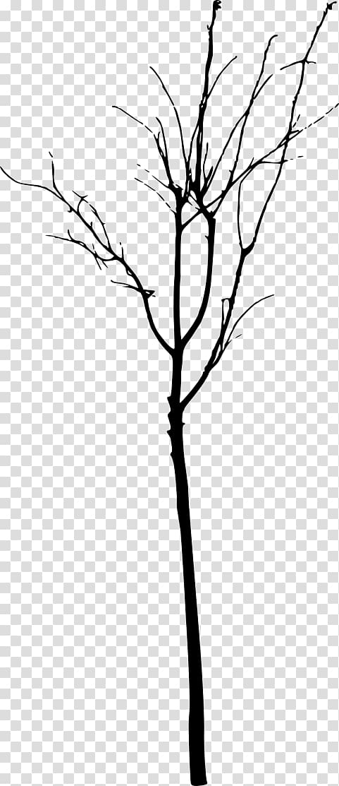 Twig Tree Branch , tree transparent background PNG clipart