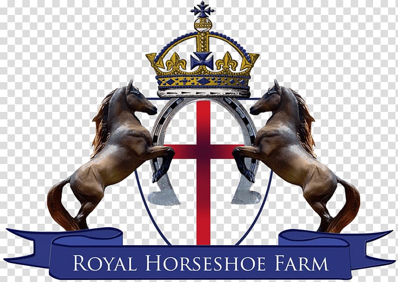 Royal Horseshoe Farm Front Royal Equestrian Trail riding, horse transparent background PNG clipart