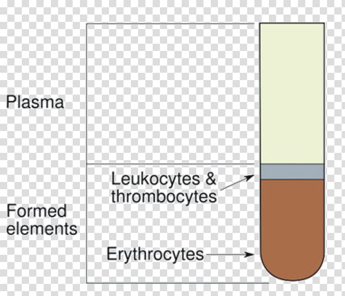 Hematocrit Packed red blood cells Anemia, blood transparent background PNG clipart