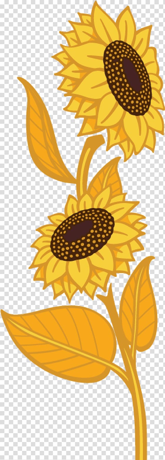 Common sunflower Sunflower seed Daisy family Flax Plant, sunflower oil transparent background PNG clipart