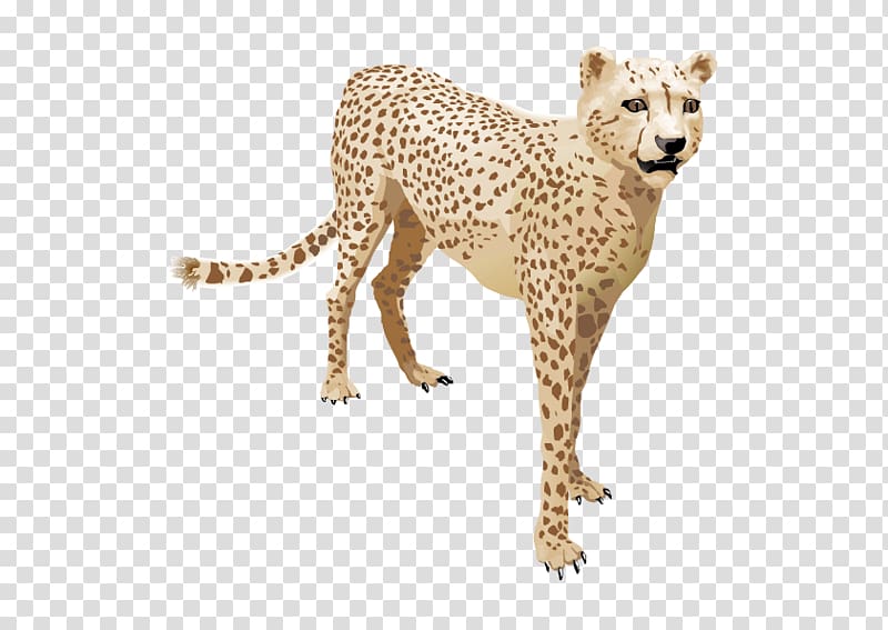 Cheetah Leopard Felinae, Cheetah transparent background PNG clipart