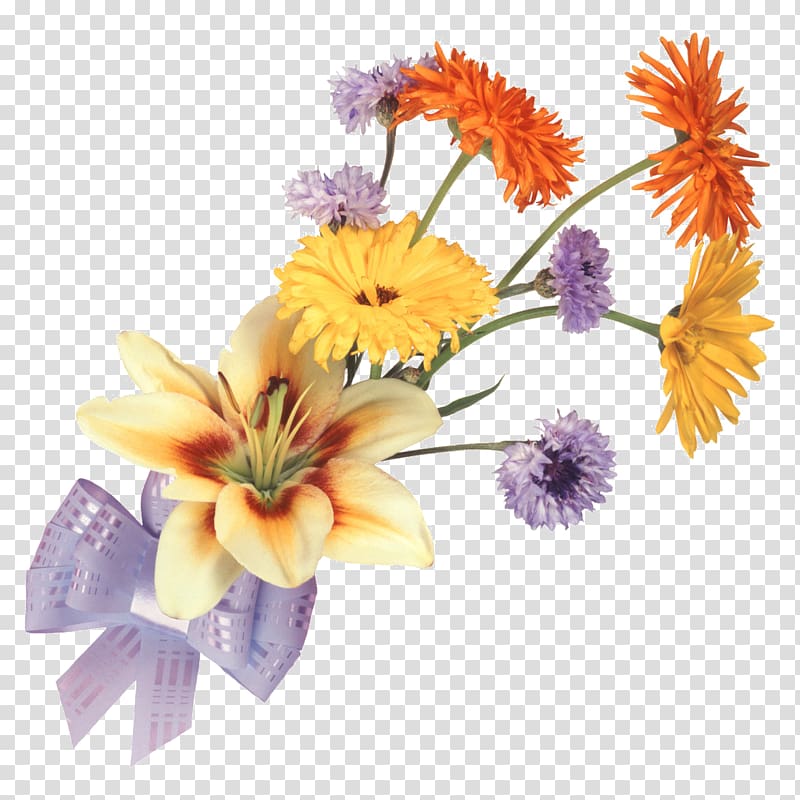 Flower of the Fields Drawing Flower bouquet Lilium, flower transparent background PNG clipart