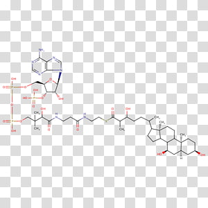 Line Point Angle, line transparent background PNG clipart thumbnail