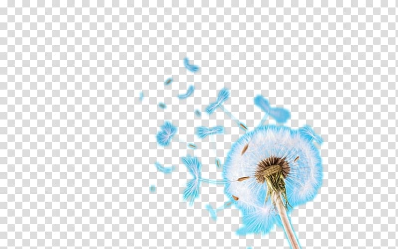 , Flying Dandelion transparent background PNG clipart