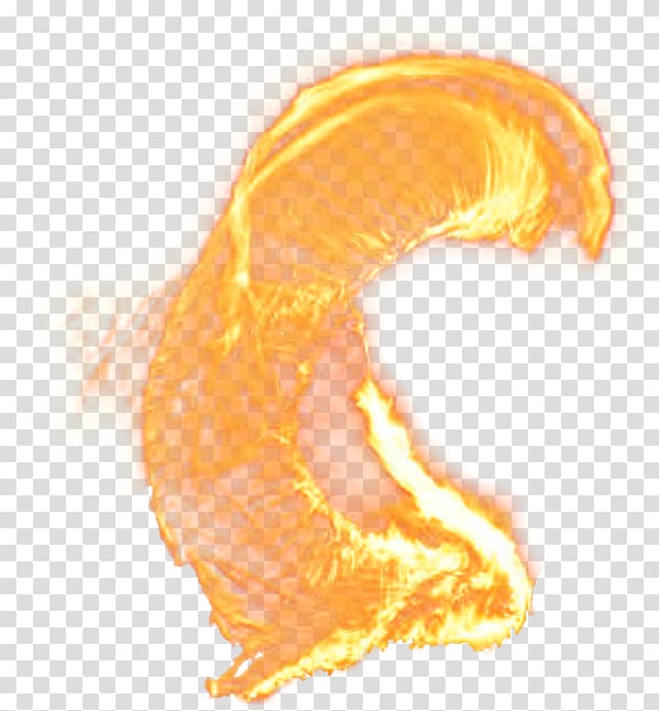 Flame Combustion , Brush fire transparent background PNG clipart