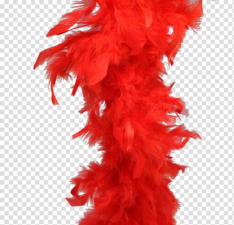 Feather boa Boa constrictor Clothing Accessories, feather transparent background PNG clipart