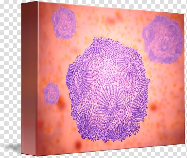 Dog Canine parvovirus Purple, Dog transparent background PNG clipart