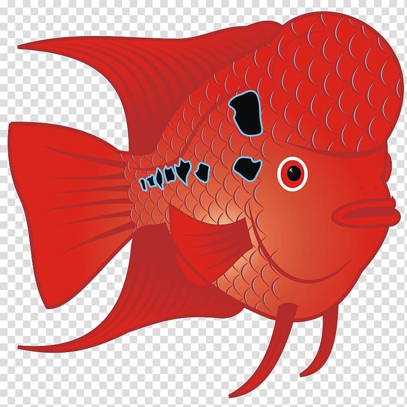 Flowerhorn cichlid Carassius auratus Fish , Goldfish transparent background PNG clipart