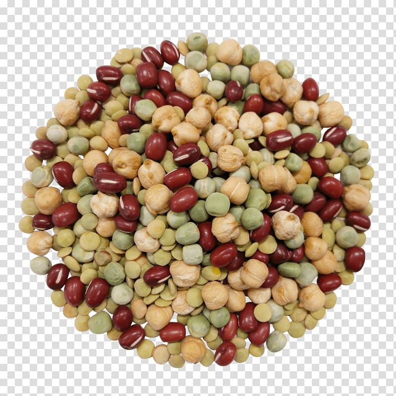 Bean Legume Food Khorasan wheat Sprouting, beans transparent background PNG clipart