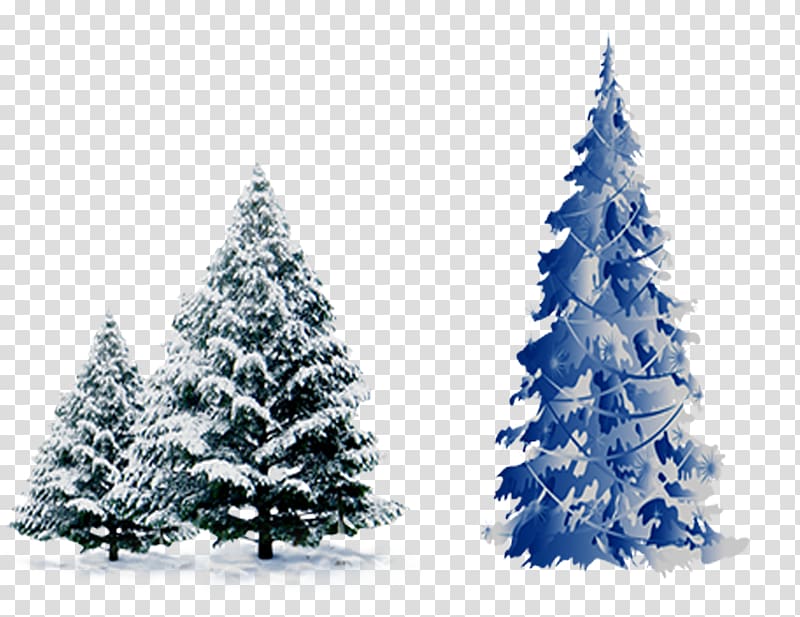 Christmas tree Cedar Pine Spruce, With snow pine transparent background PNG clipart