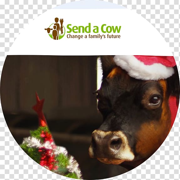 Dog Snout Cattle Christmas ornament Christmas Day, Dog transparent background PNG clipart