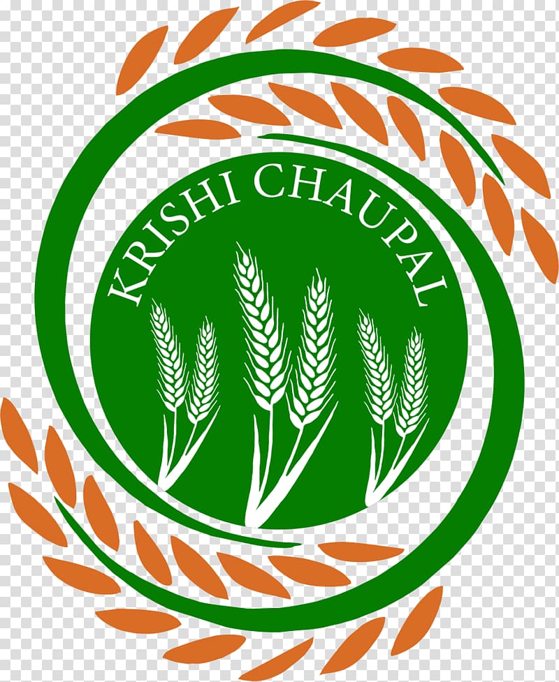 Agriculture Chaupal, Himachal Pradesh Farmer Rajasthan, wheat transparent background PNG clipart