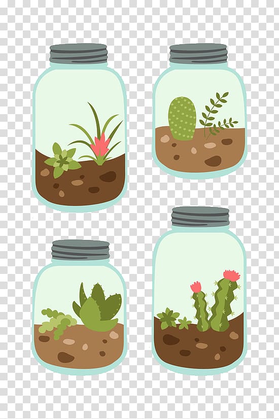 four clear glass terrarium jars , Cactus y suculentas Cactaceae Succulent plant Header, Cartoon cactus succulents transparent background PNG clipart