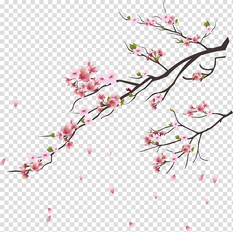 Cherry blossom Tsukasa of Tokyo Branch, Pink cherry blossoms, pink cherry blossoms illustration transparent background PNG clipart