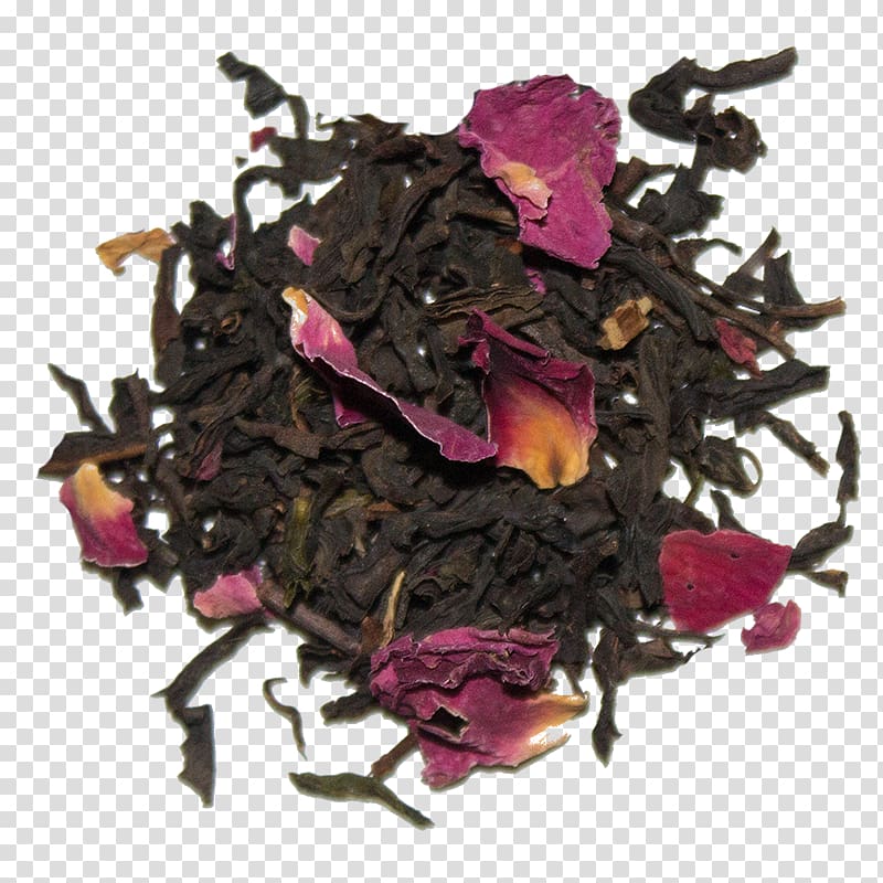 Nilgiri tea Da Hong Pao Magenta Sea Camellia sinensis, chinese savior crepe transparent background PNG clipart