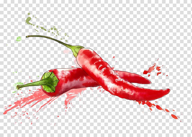 two red chili peppers painting, Chile de xe1rbol Birds eye chili Cayenne pepper Tabasco pepper Chili pepper, Painted background chili peppers transparent background PNG clipart