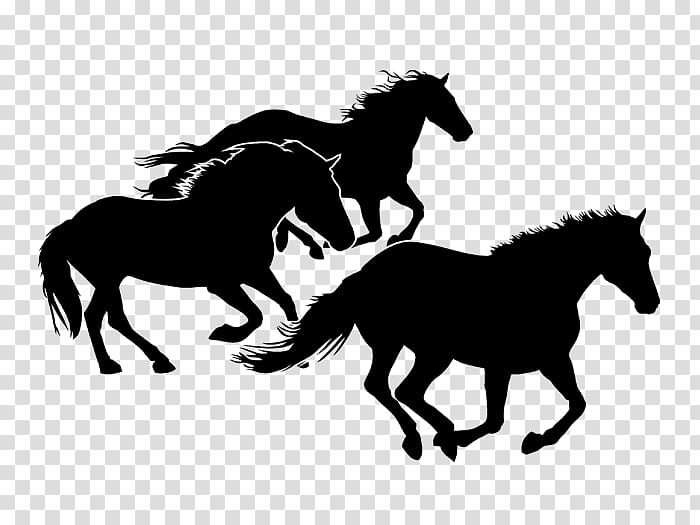 Horseshoe Equestrian Pony Silhouette, horse transparent background PNG clipart