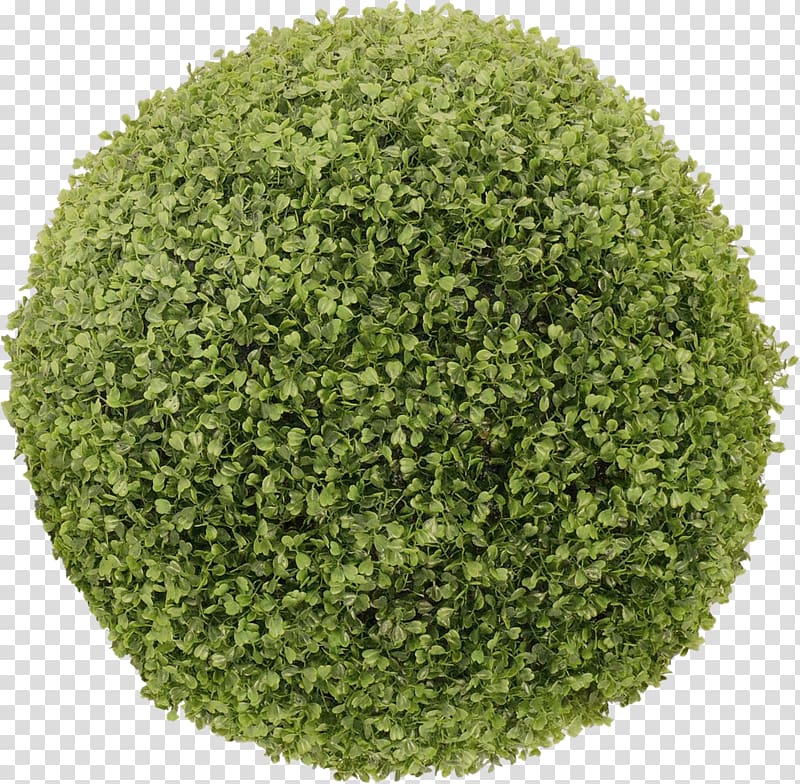 , Round grass material transparent background PNG clipart