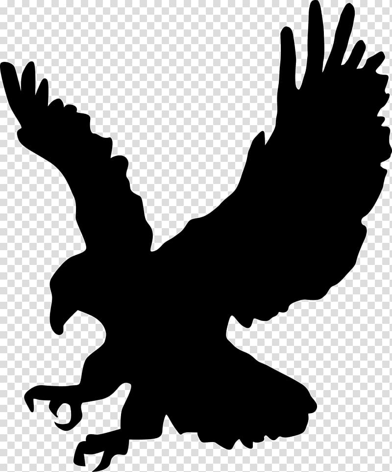 Bald Eagle Silhouette , eagle transparent background PNG clipart