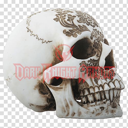 Skull Calavera YTC Summit International Inc Human skeleton, skull transparent background PNG clipart