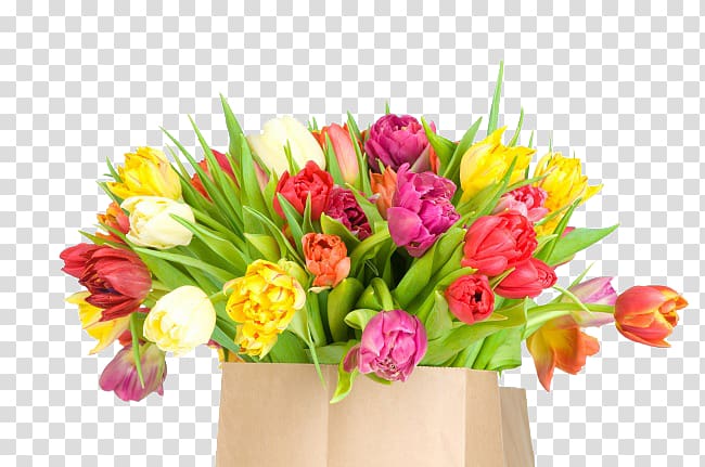 International Womens Day Holiday Ansichtkaart Birthday Woman, Beautiful tulip flower arrangement transparent background PNG clipart