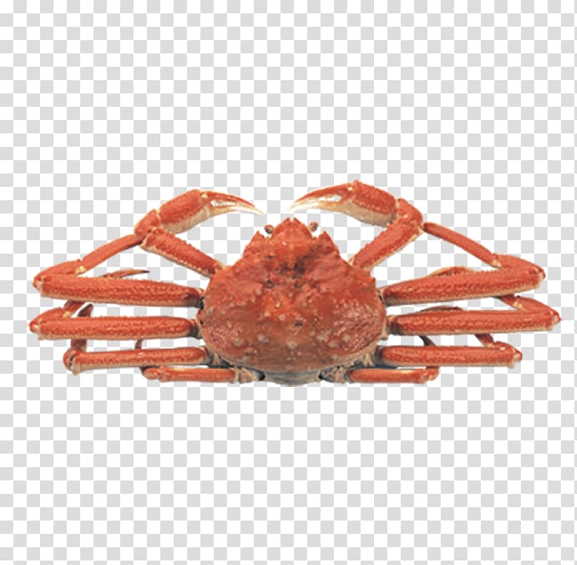 Dungeness crab Snow crab Chionoecetes bairdi Seafood, crab transparent background PNG clipart