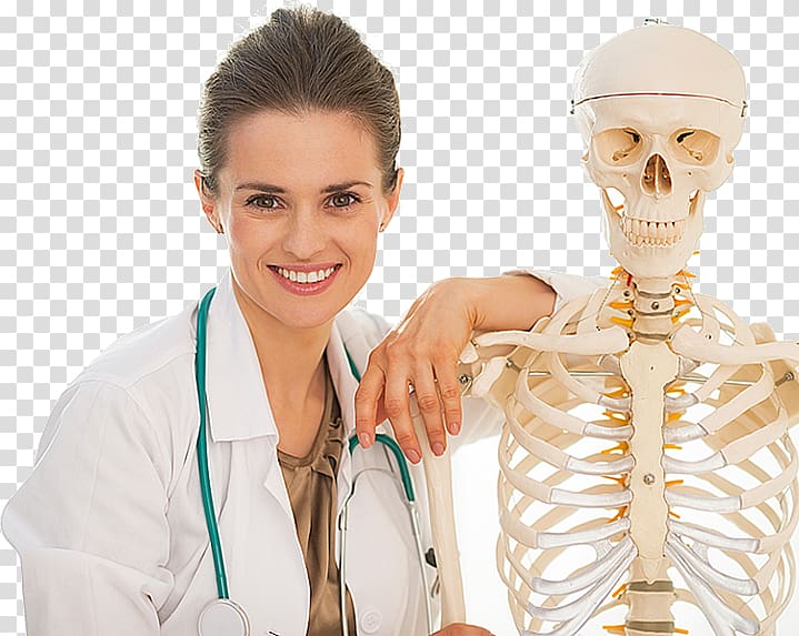 Human skeleton Bone density Joint, Skeleton transparent background PNG clipart