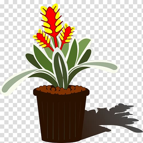 graphics Houseplant Christmas Graphics Bromeliads, leaf transparent background PNG clipart