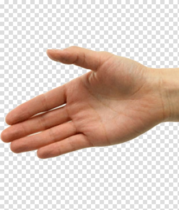 Handshake Etiquette , hand transparent background PNG clipart
