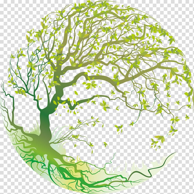 Wall decal Sticker Season Solstice, four Season tree transparent background PNG clipart