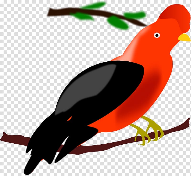 Peru Bird Chicken Illustration, Peru transparent background PNG clipart