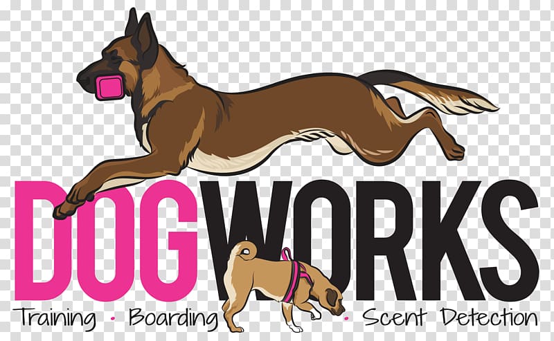 Dog breed Leash Training Nosework, Dog training transparent background PNG clipart
