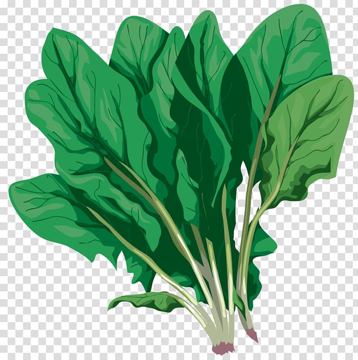 Chard Vegetable Komatsuna Spring greens, vegetable transparent background PNG clipart