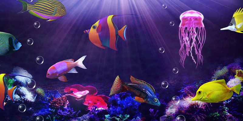 Elements 0 Candy, Free! Desktop , Aquarium transparent background PNG clipart