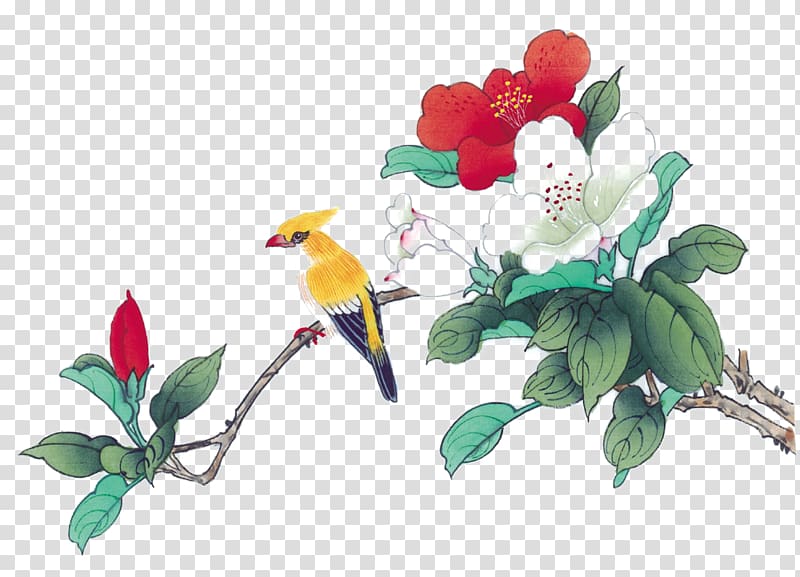 Meticulous painting birds transparent background PNG clipart