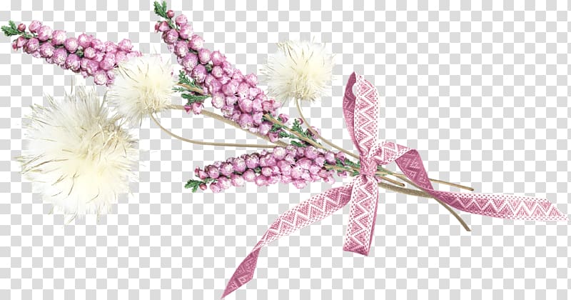 Cut flowers Floral design Plant stem, Primera comunion transparent background PNG clipart